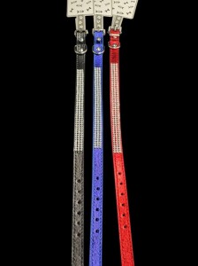 Obroża dla zwierząt