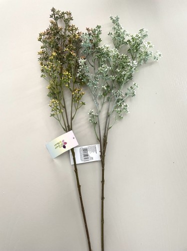 57985_19237