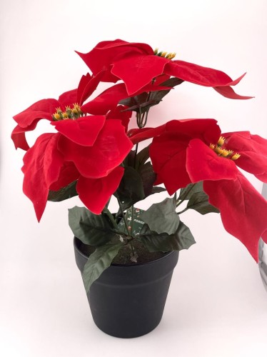 57880_19675
