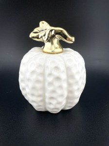 Dynia ceramiczna (96)