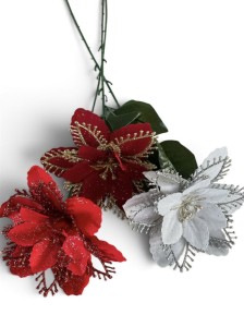 Gwiazda betlejemska